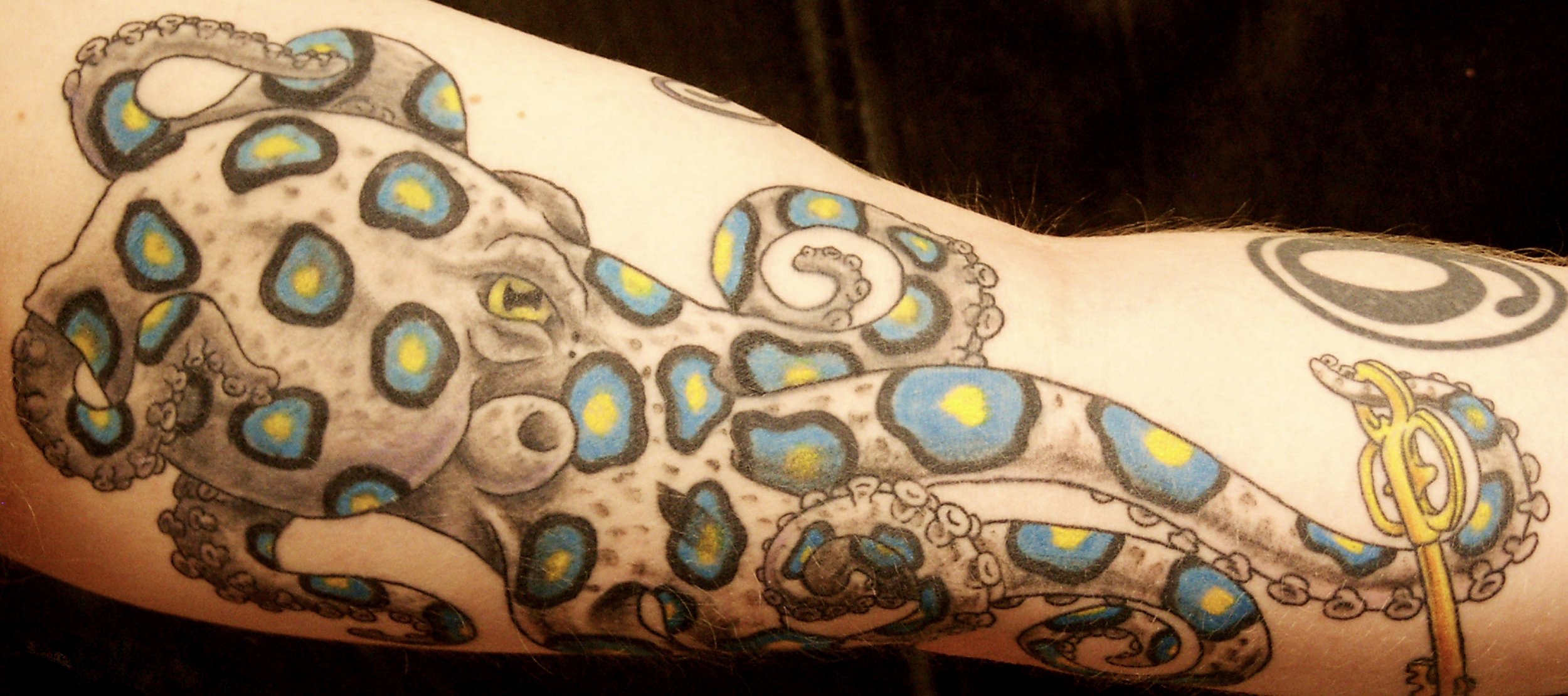 Brian's blue ring octopus