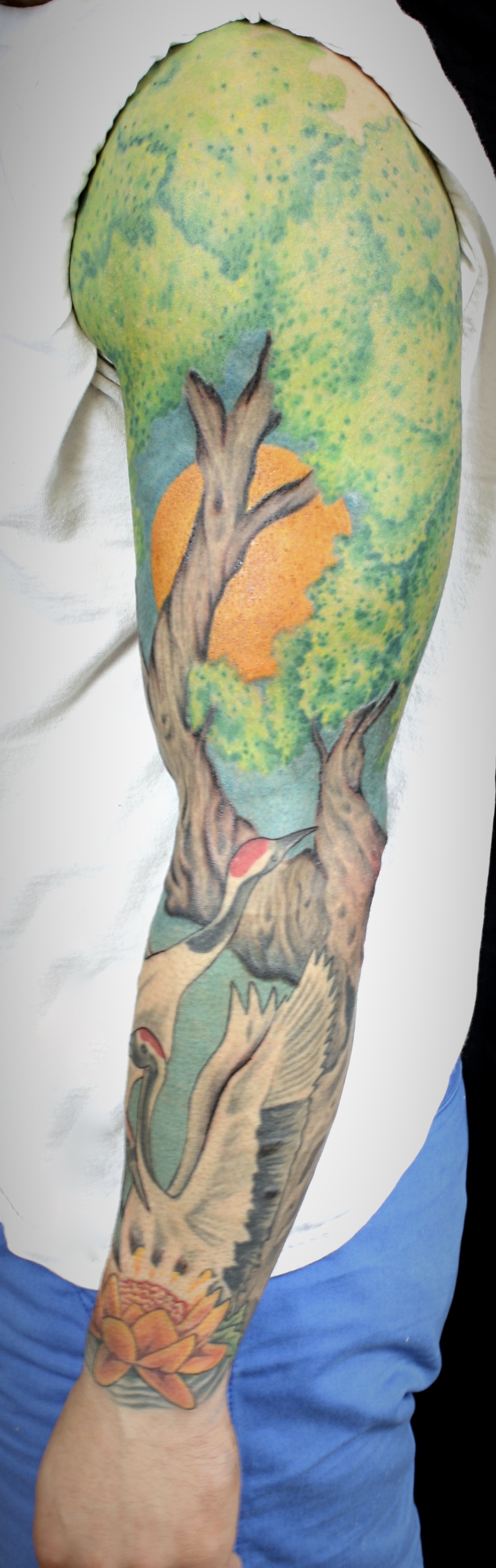 Alex' Sleeve
