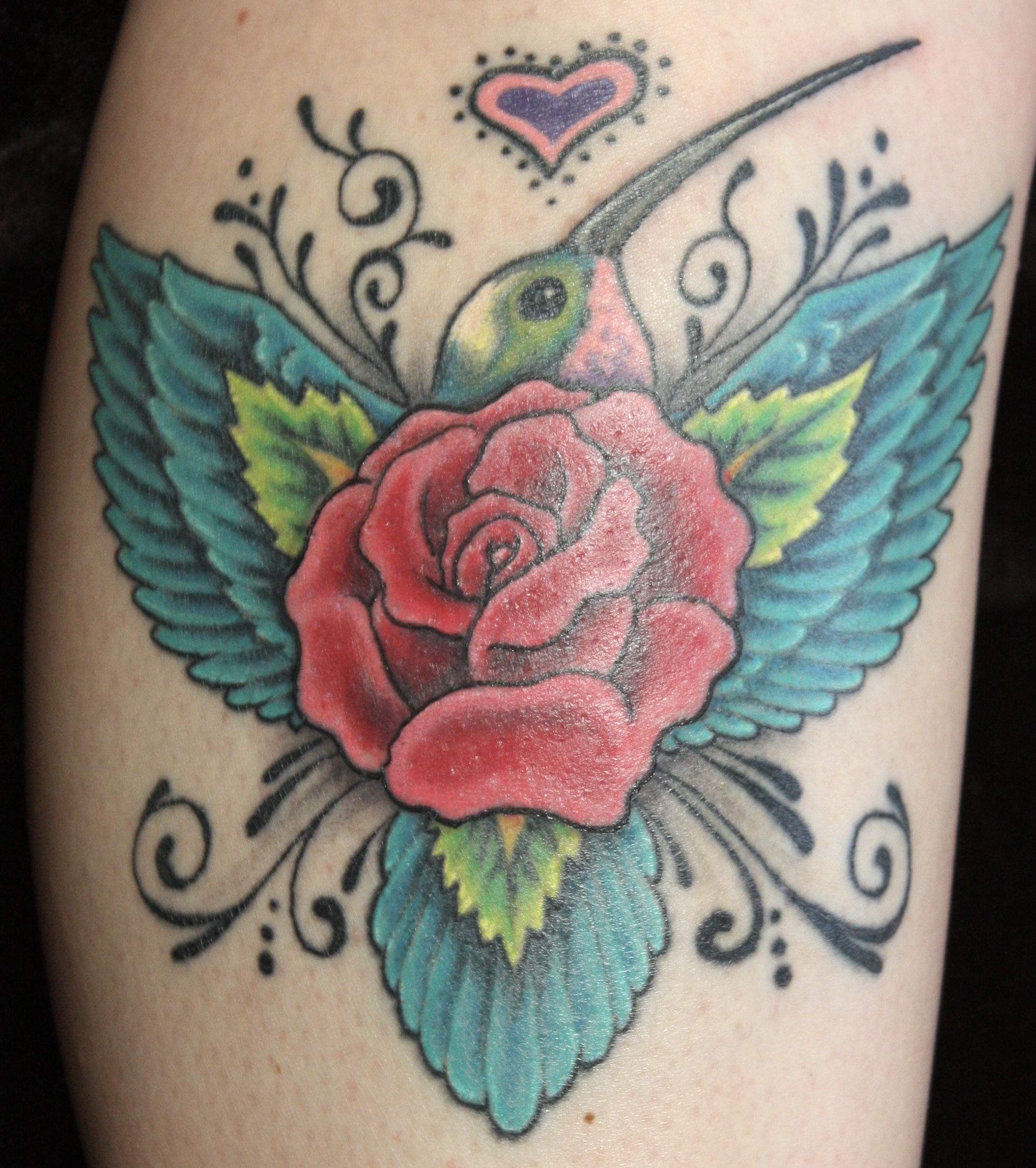 Mali's Hummingbird Rose
