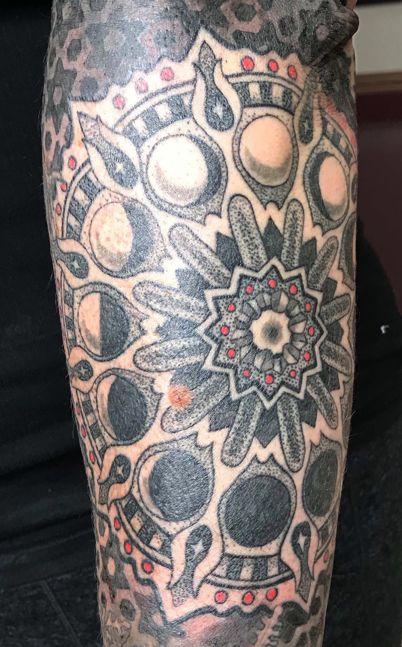 Tori's Forearm