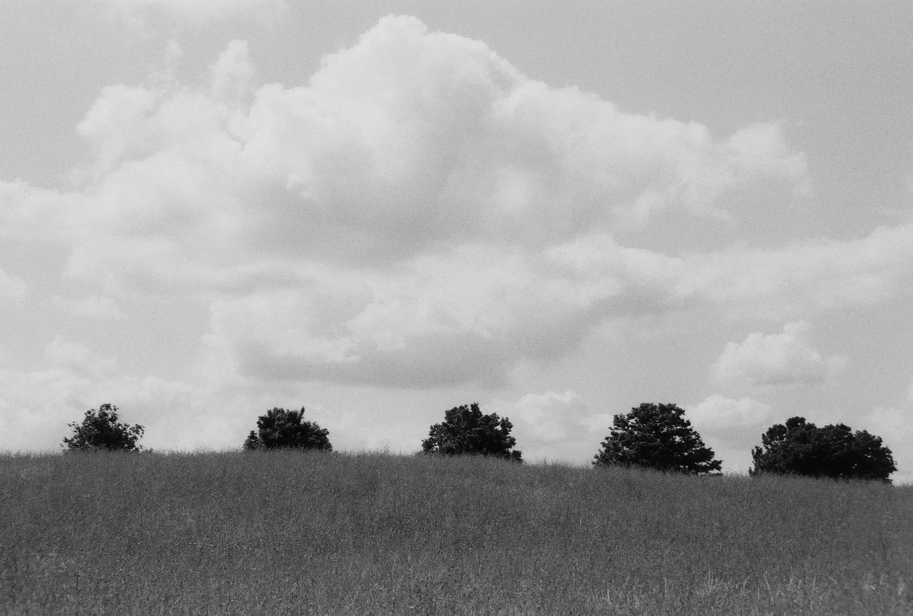 1_4020_JK_R02_24 copy.jpg