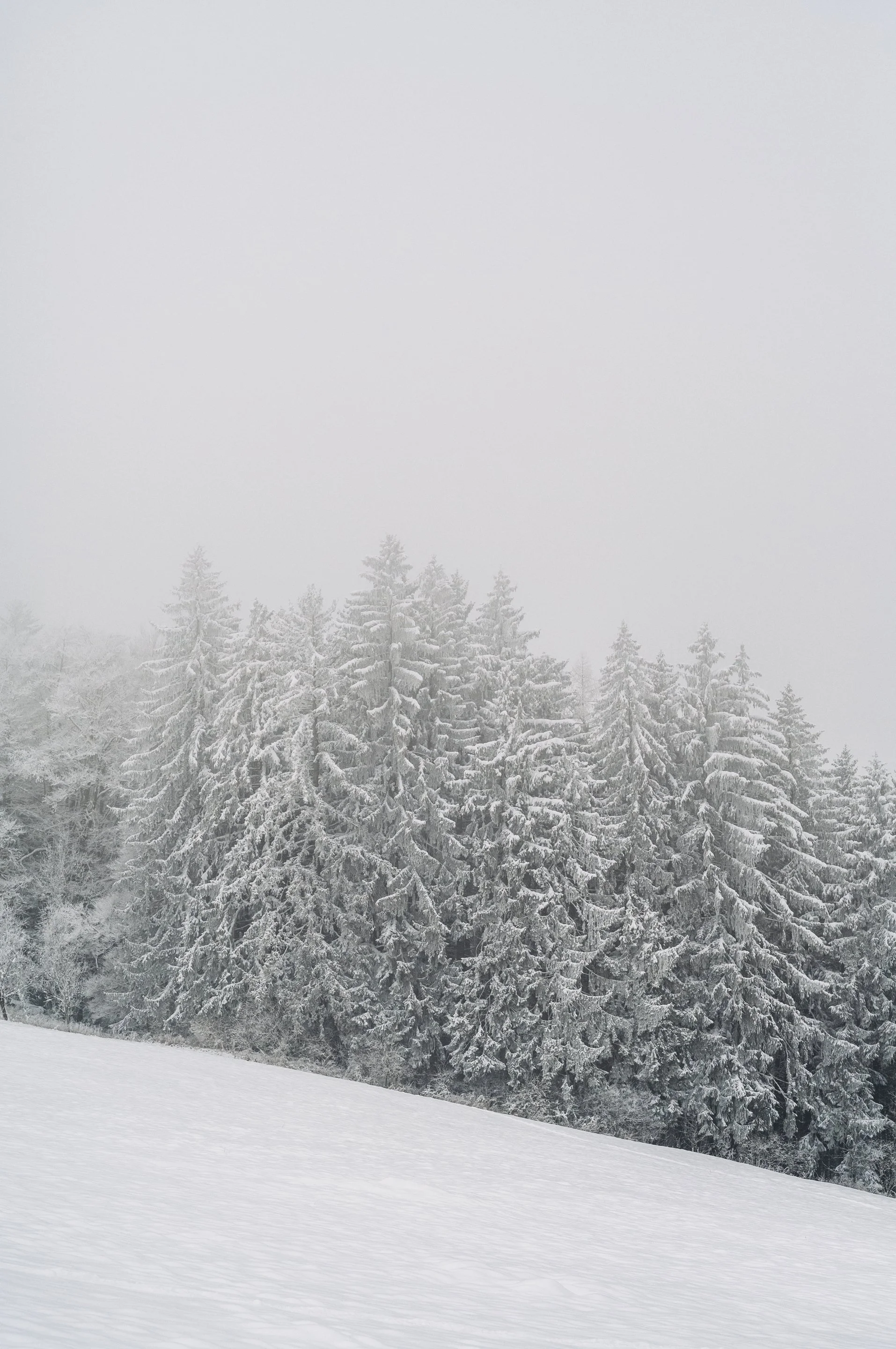 2023_Korbinian_Seifert_Photography_Martin_Mayr_Volvo_Polar_Winter_009.jpg