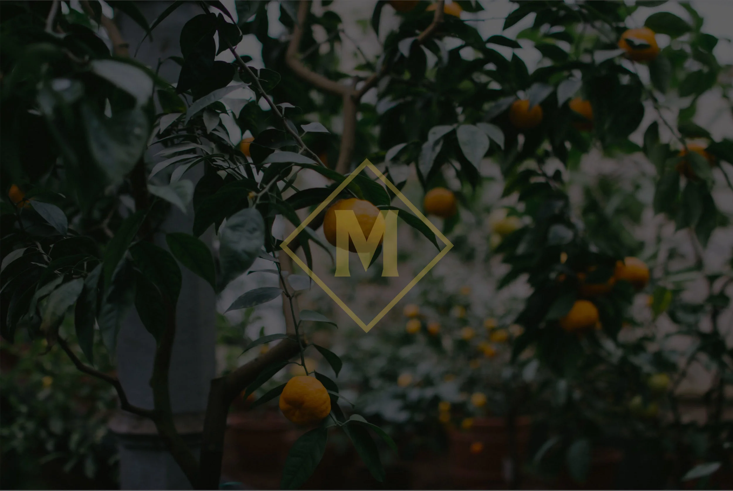 oranges.jpg