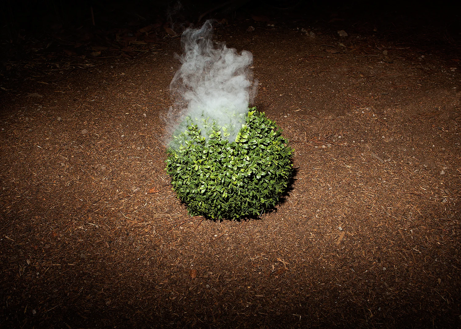 Smoking