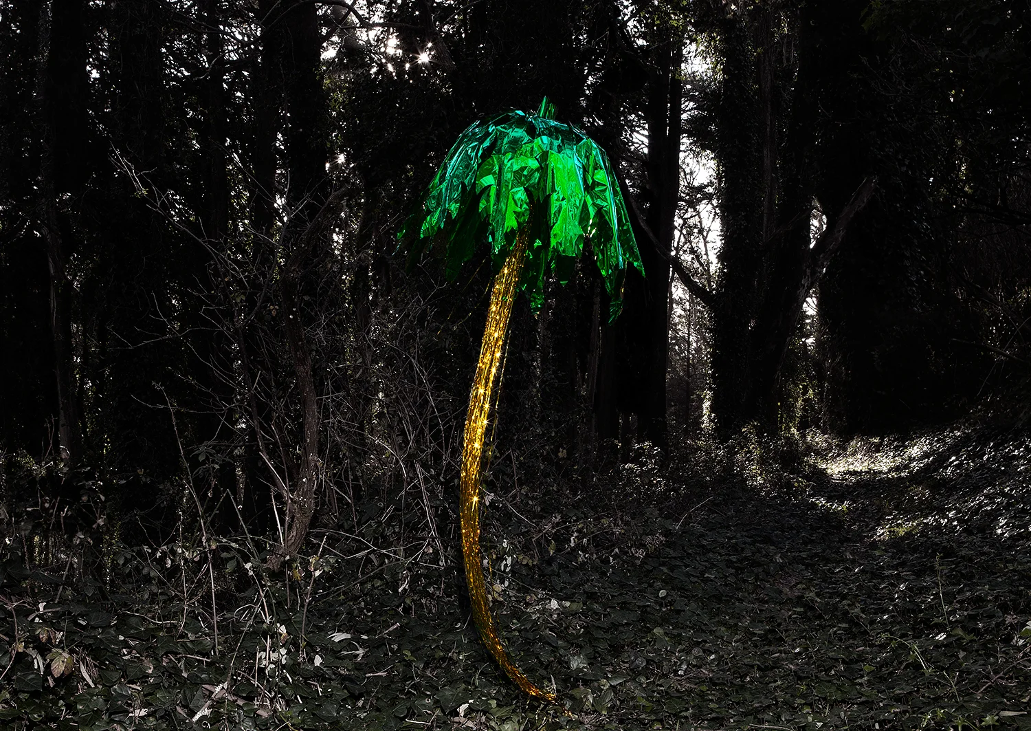Untitled (Party Palm)