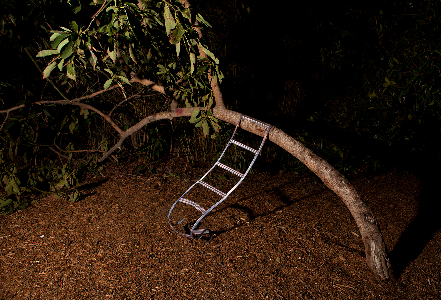 Giving Tree