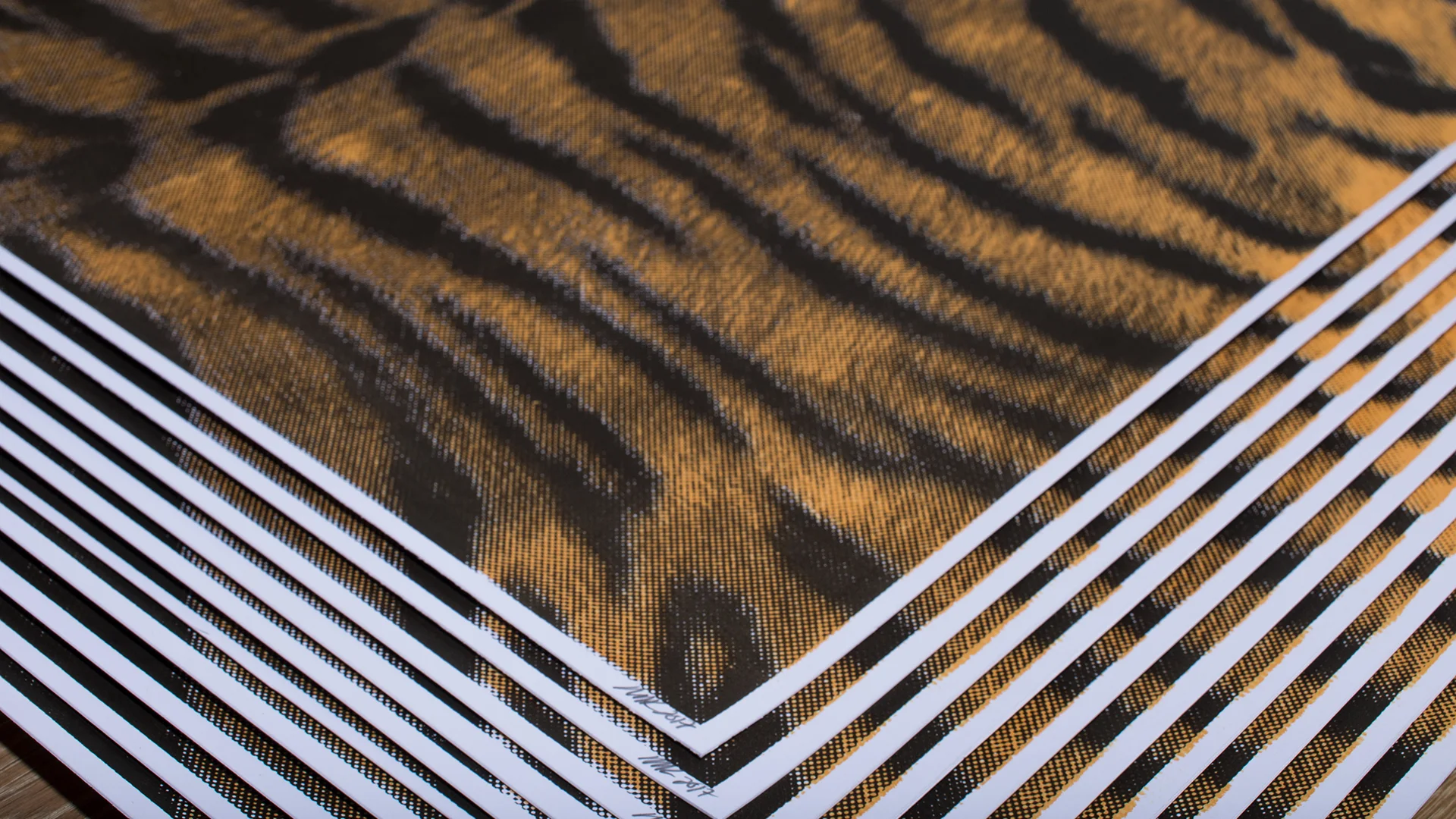 detail of Tiger