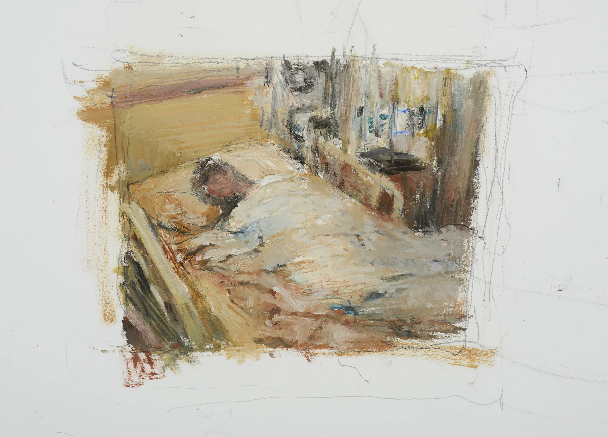 Sleeping Patient (2)