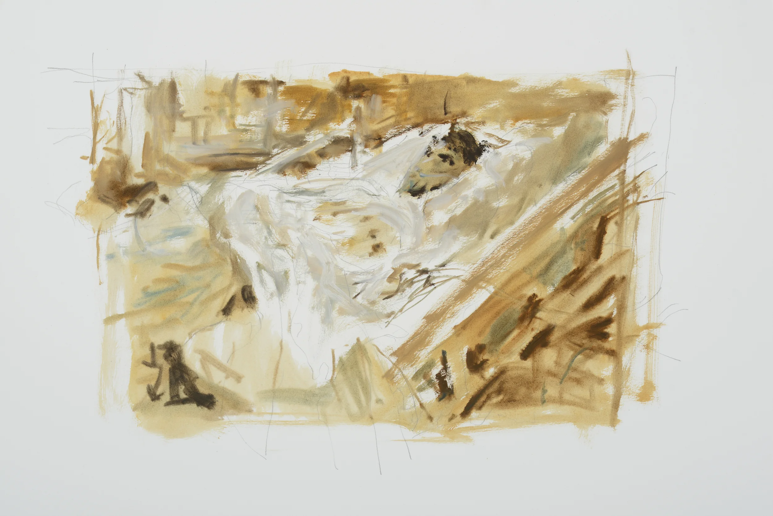 Sleeping Patient (1)