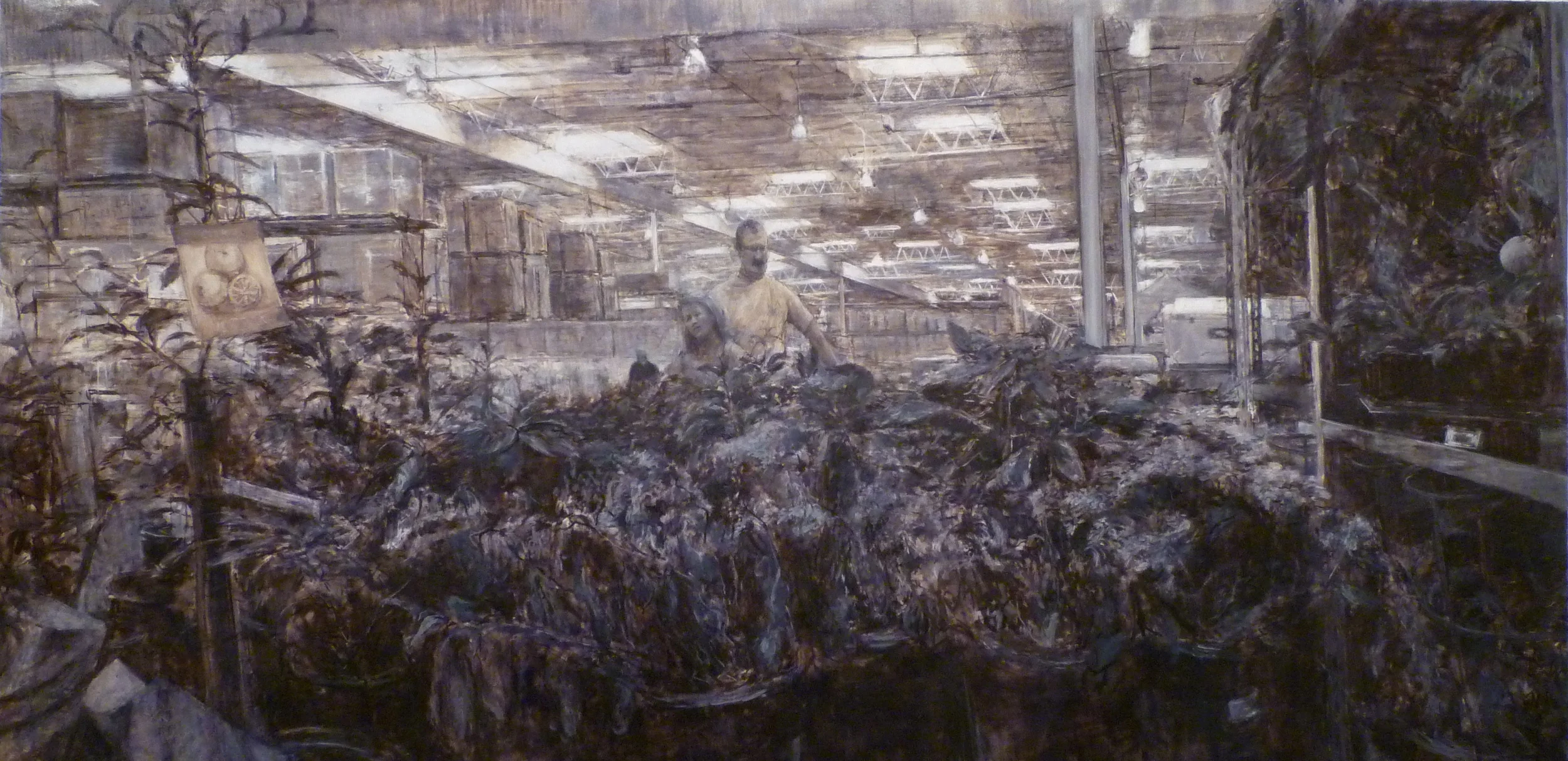 Forest Primeval, 2015