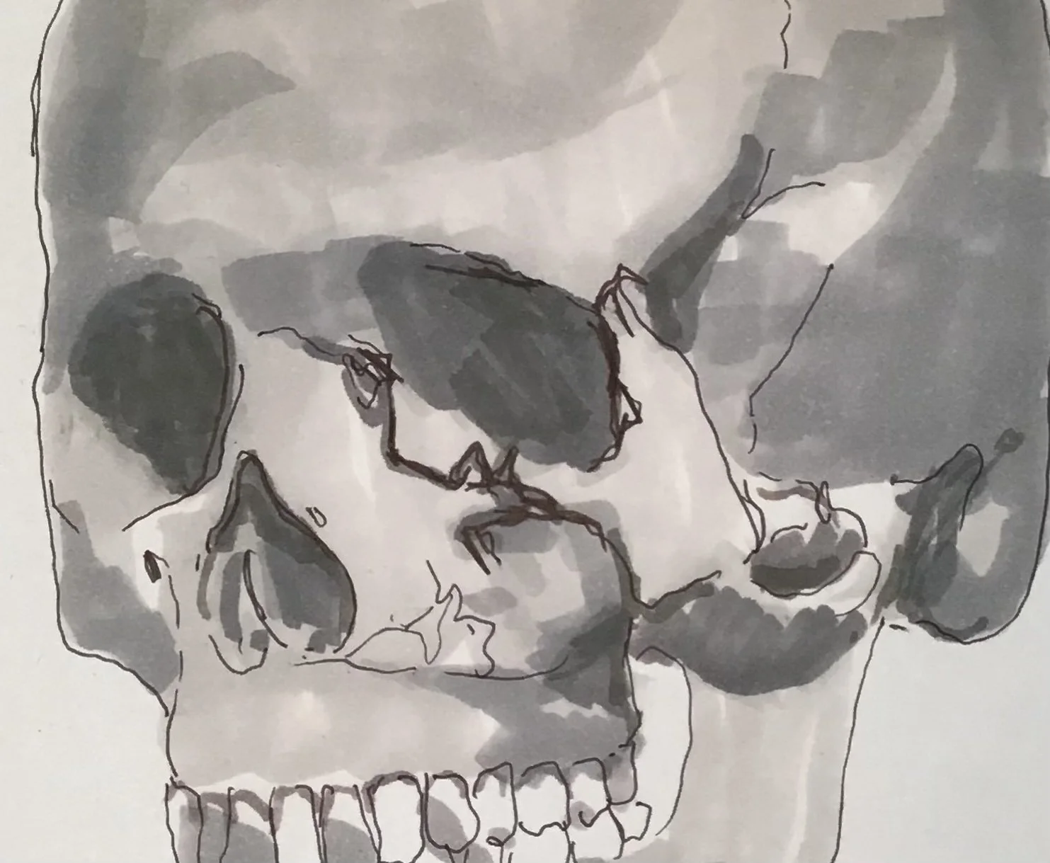 Chaka’s Skull (sketch), 2025
