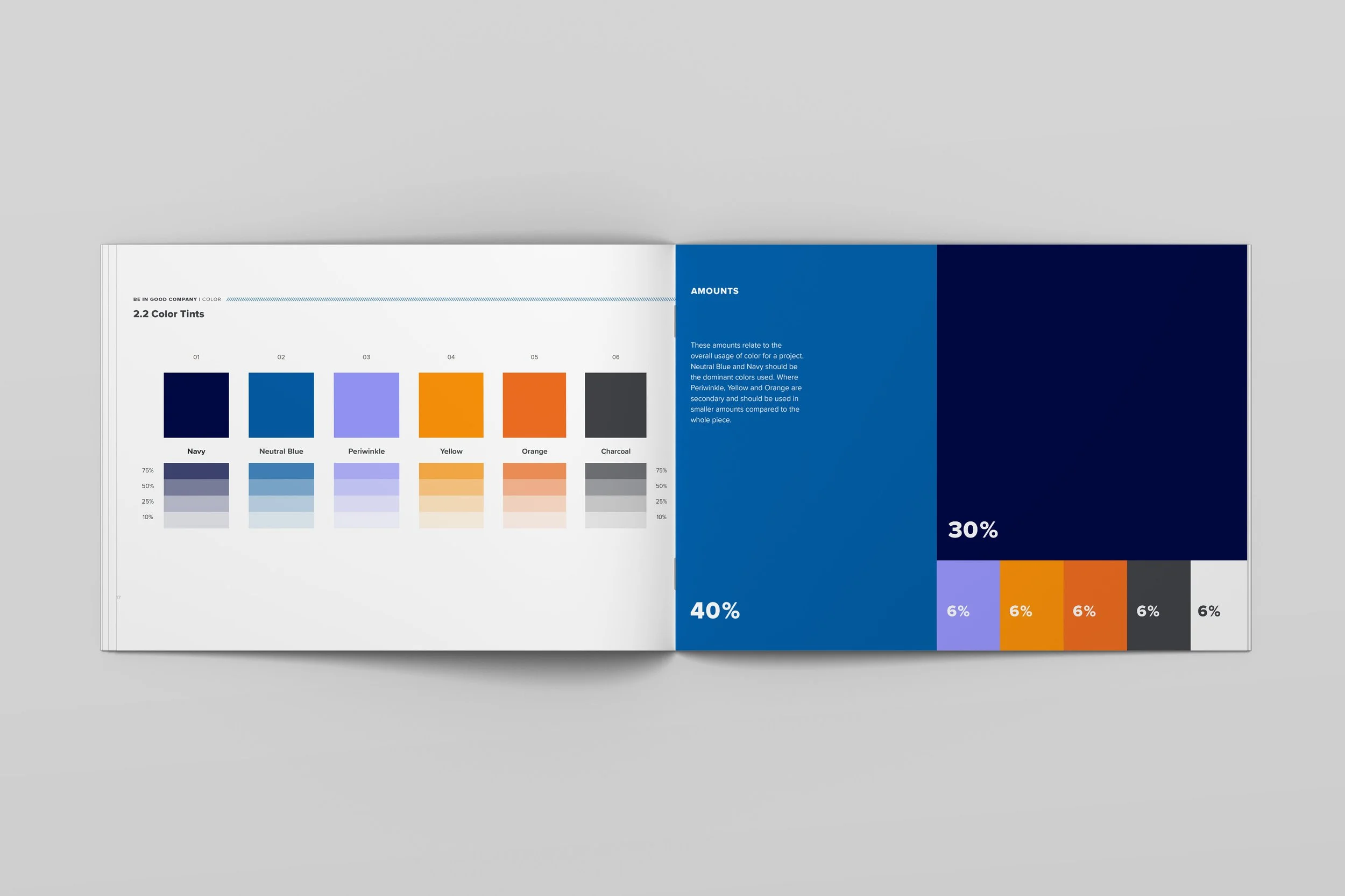 BIGC-BrandGuide-Mock-01.jpg