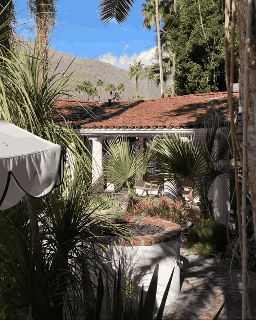 never%20not%20missing%20%40villaroyale_palmsprings.gif