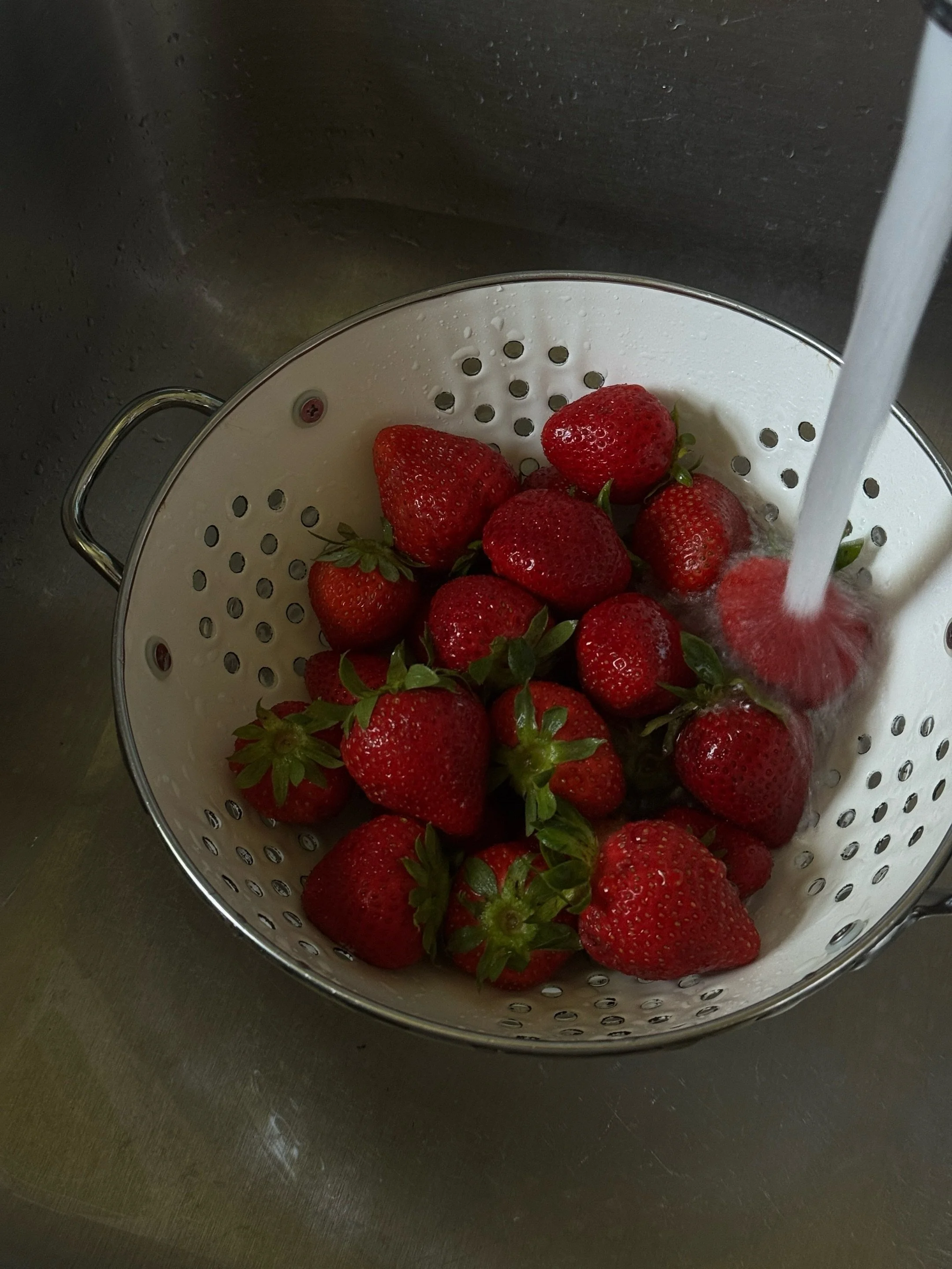 a tennessee summer 🍓