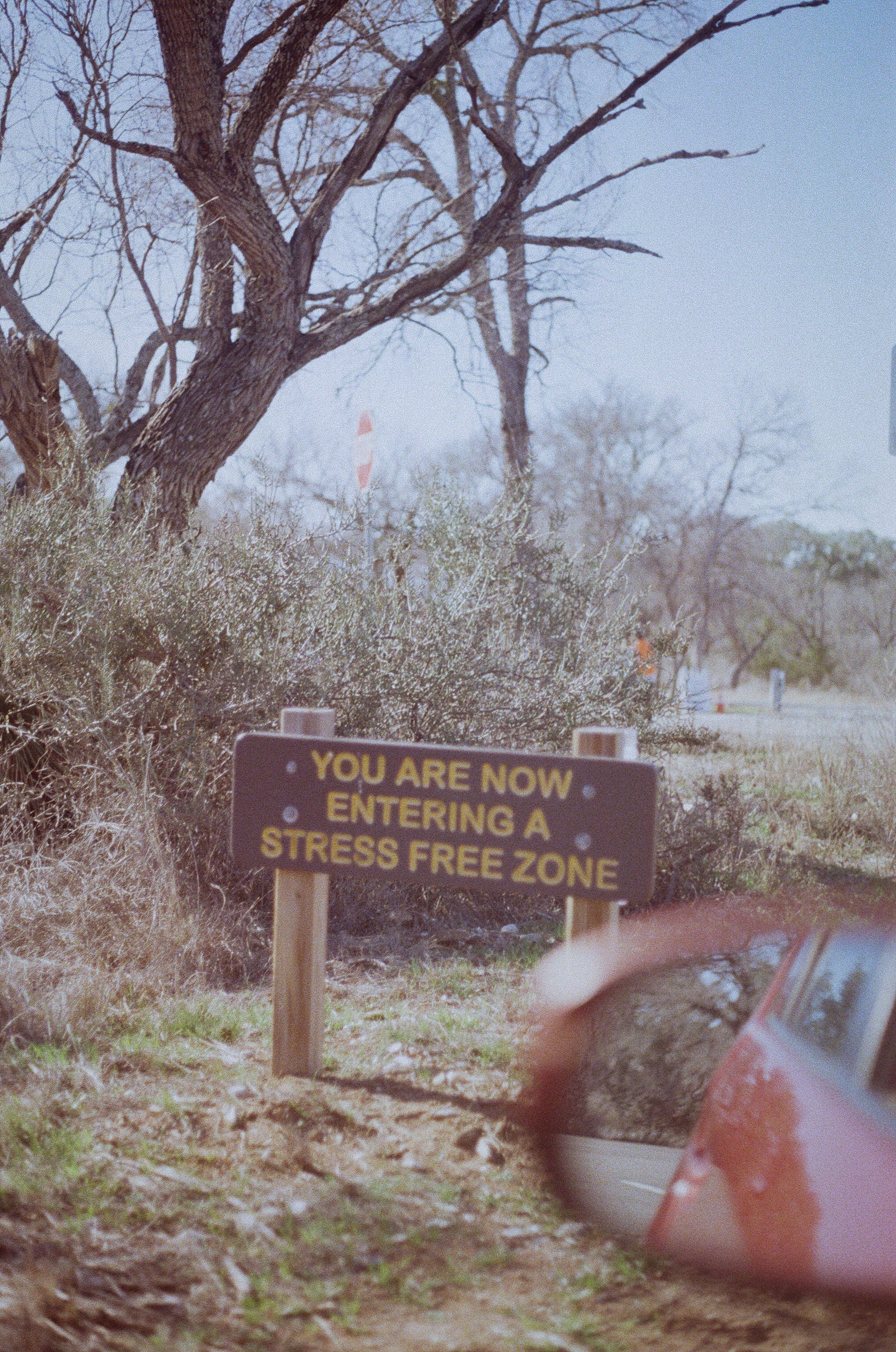 03060341-569.jpg