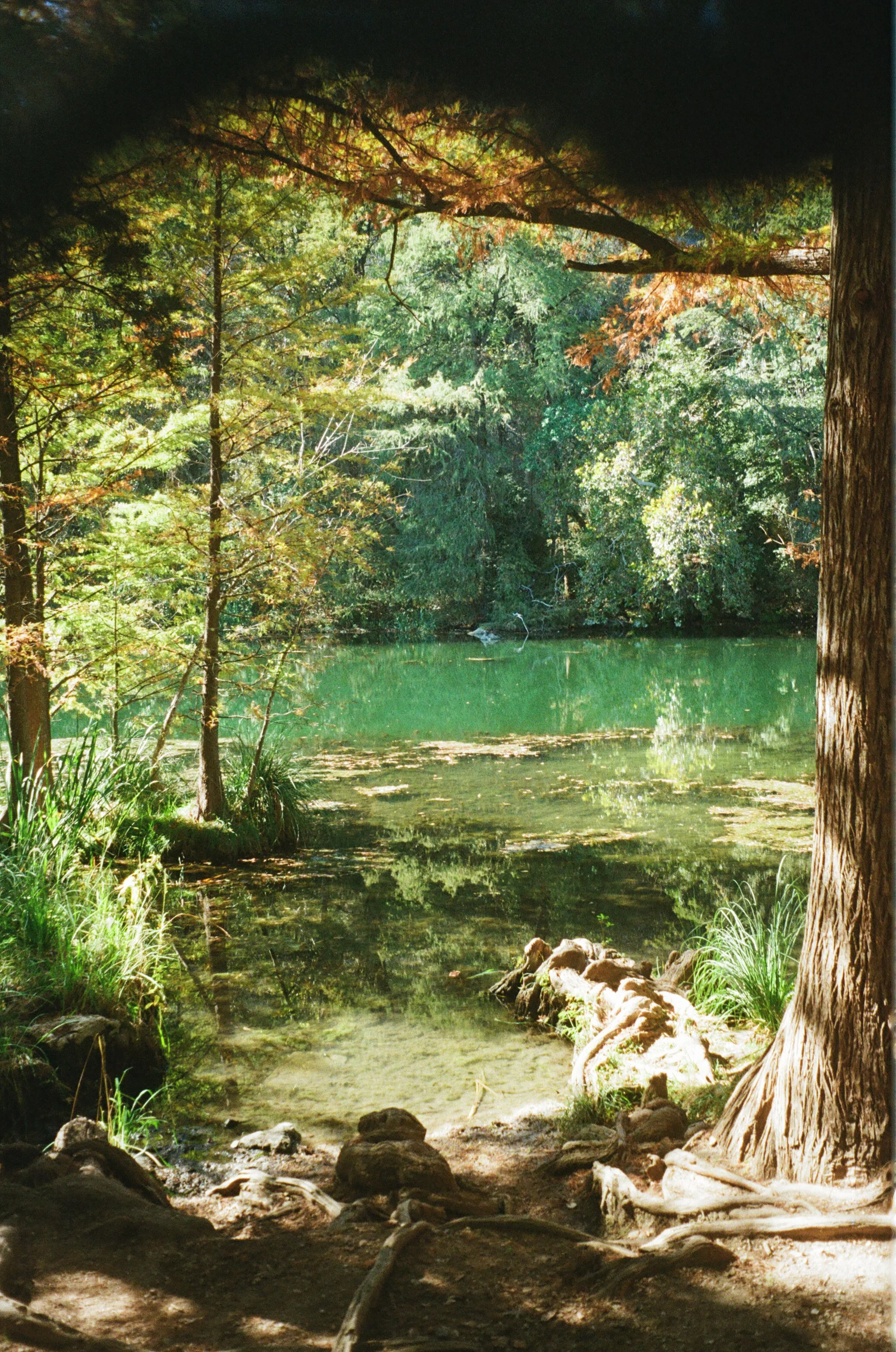 03060341-431.jpg