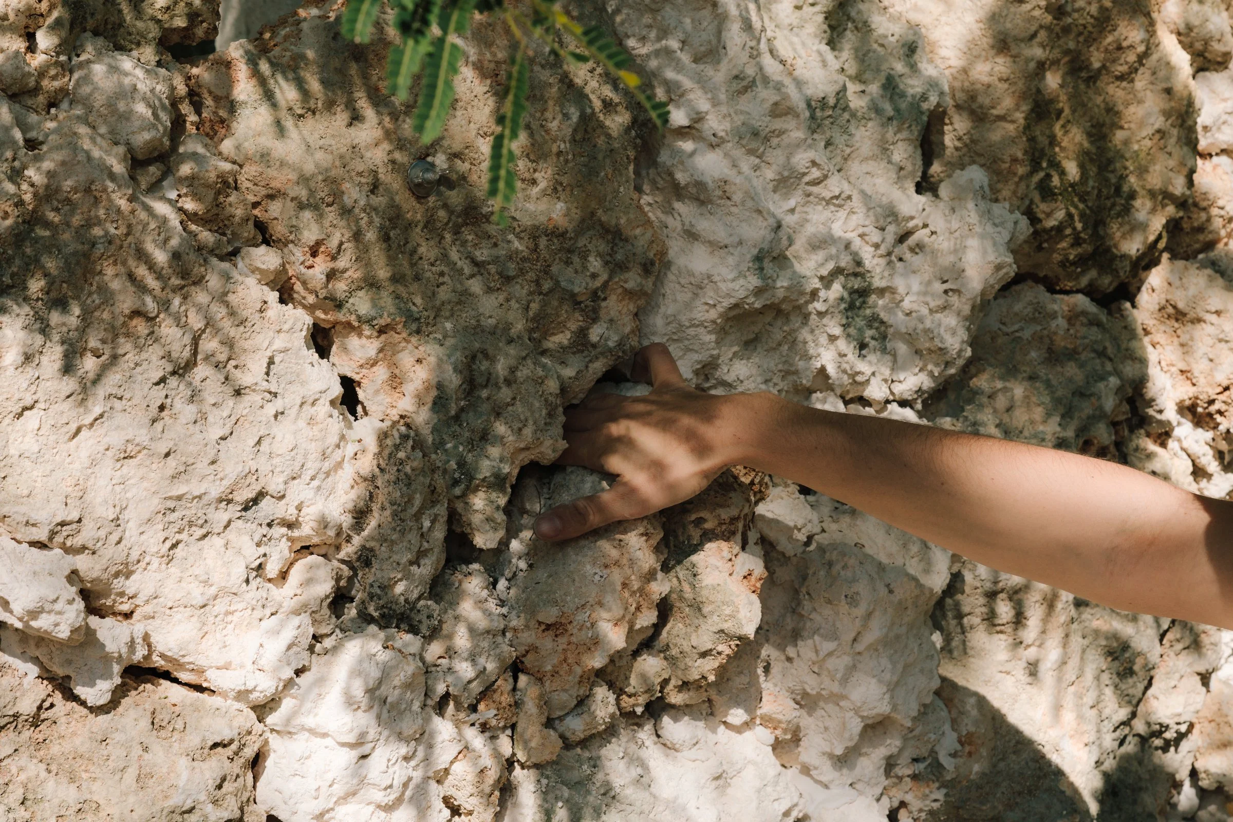 Studio Visit_Agustina Woodgate_138.jpg .jpg