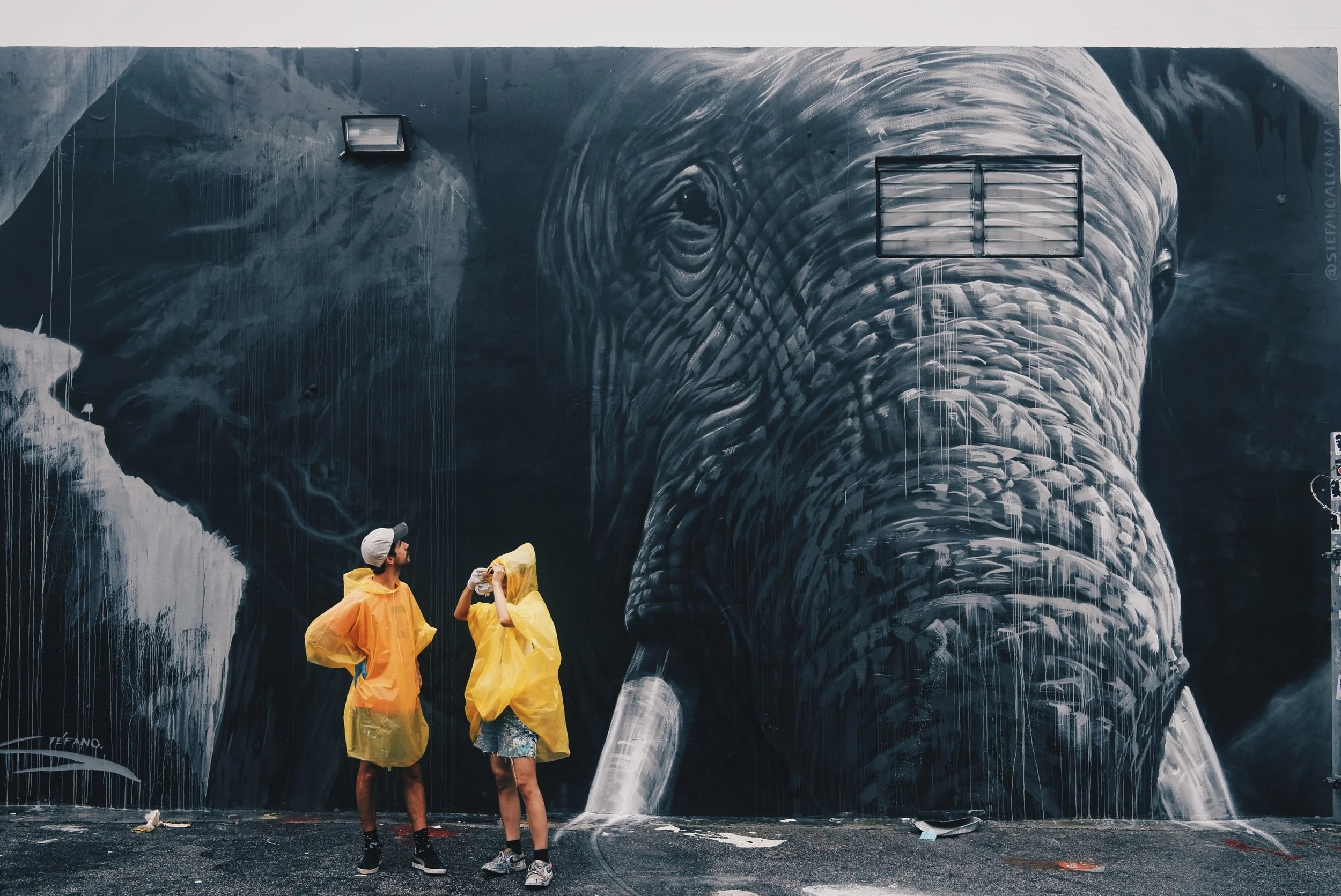  Zosen &amp; Mina, 2015 