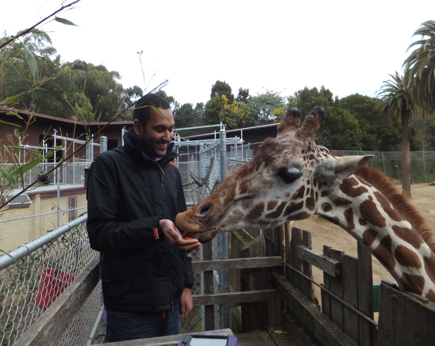 Chirag & Giraffe 1.JPG