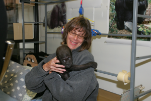 Susan with a Baby Gorilla