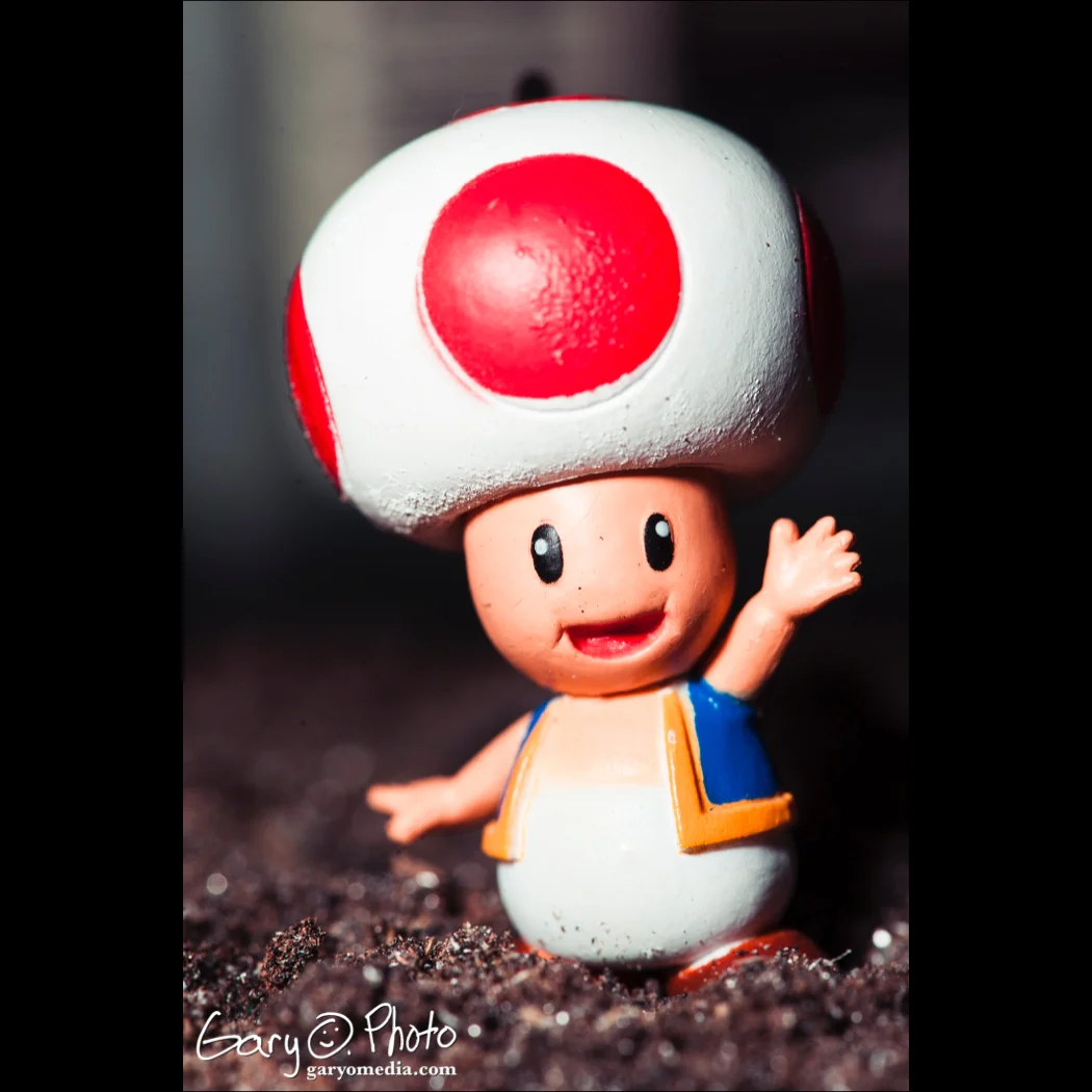 Toad.jpg