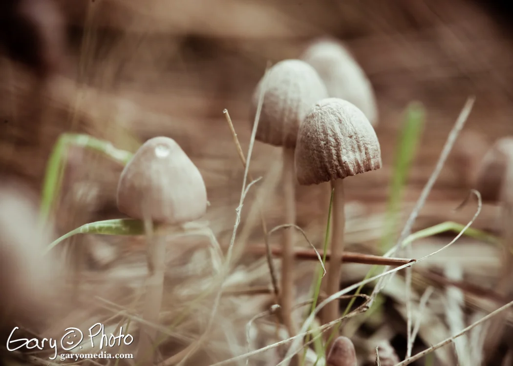 DSC_5436.jpg