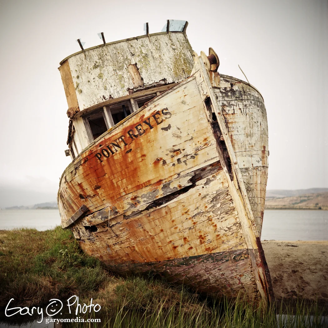 PointReyesEktar100.jpg