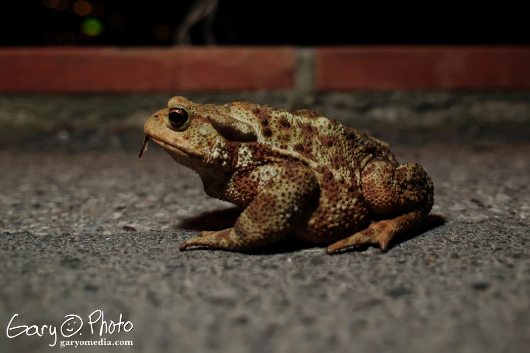 DSC_5534.jpg