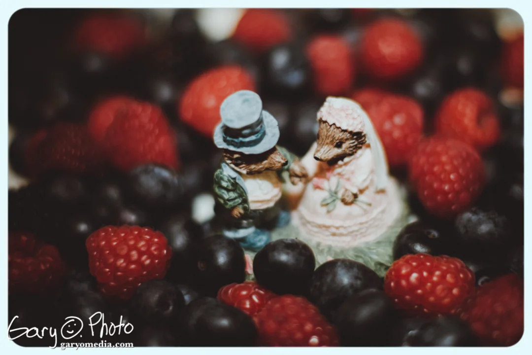 Wedding-186.jpg