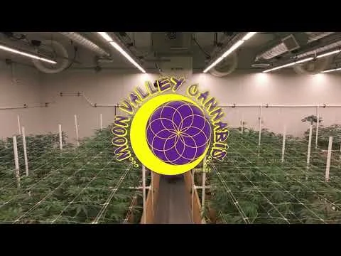 MoonValley HorizontalV2