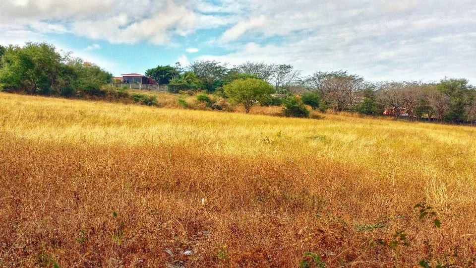 Managua Field Landscape.jpg