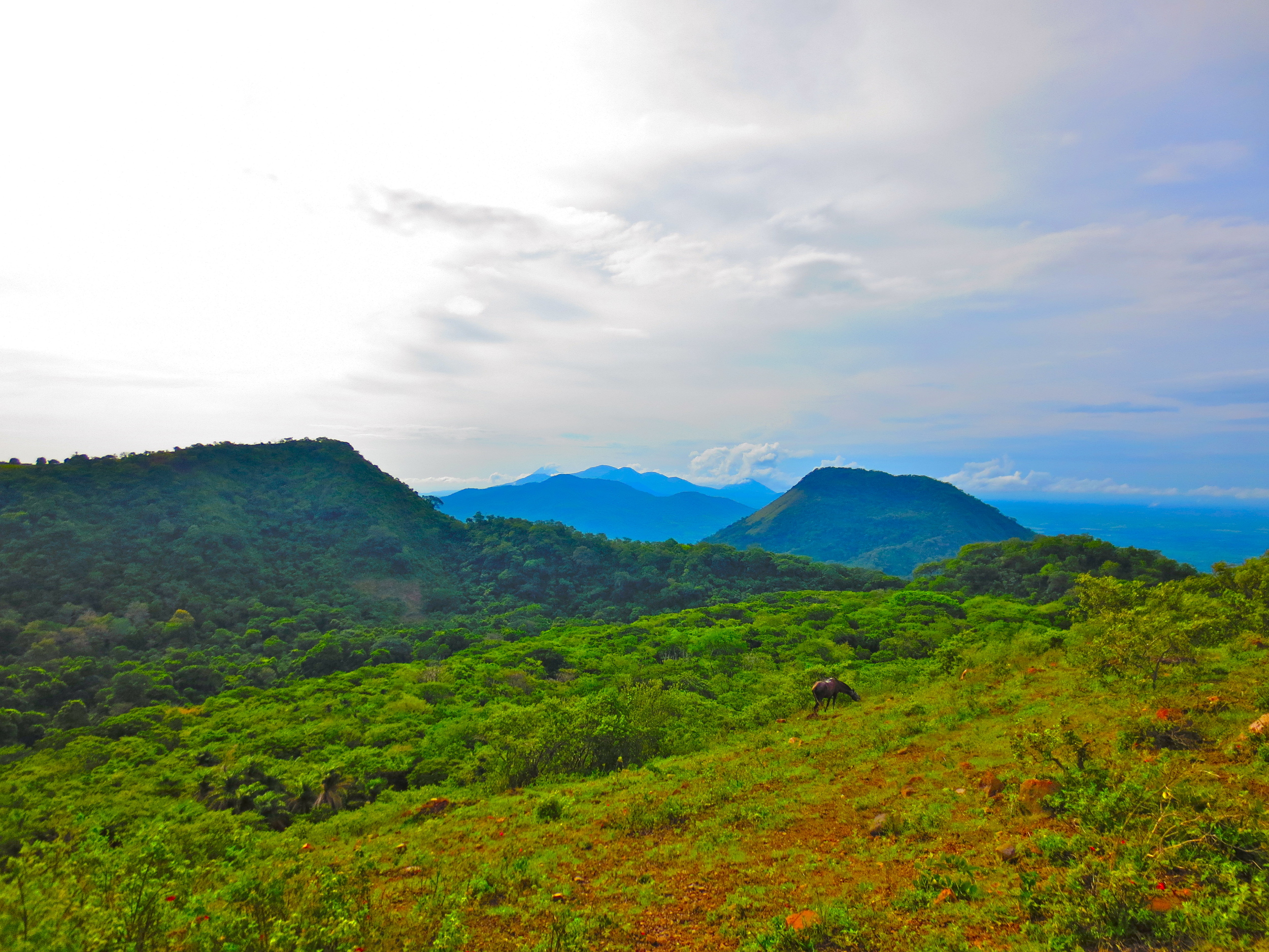 Landscape Used in Recruitment Top 7.JPG