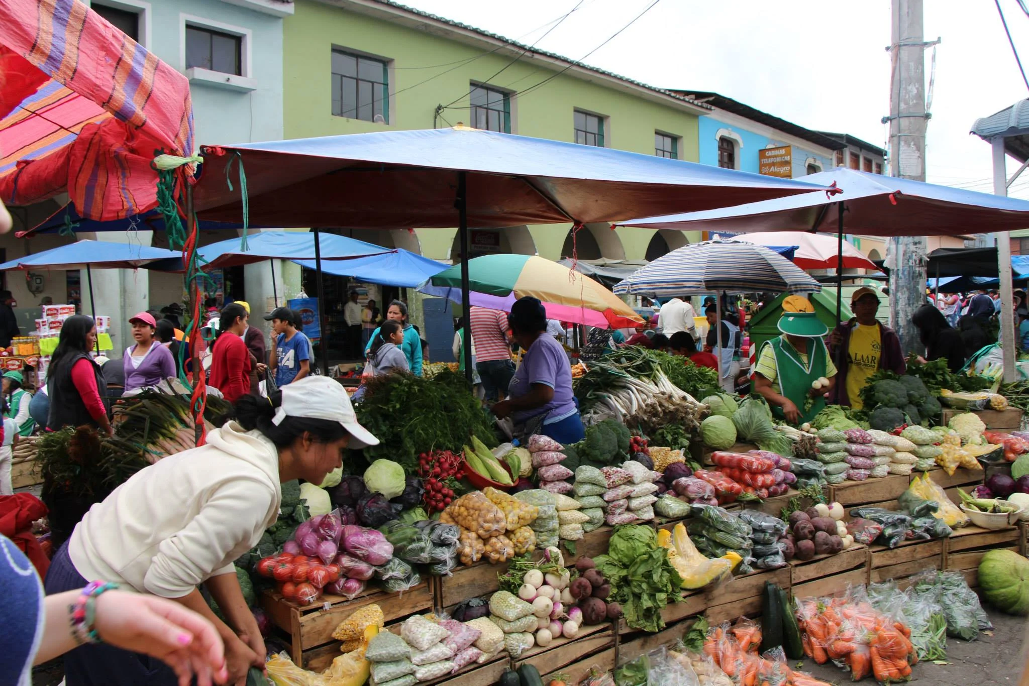 Ecuador Page - Solangqui Market.jpg