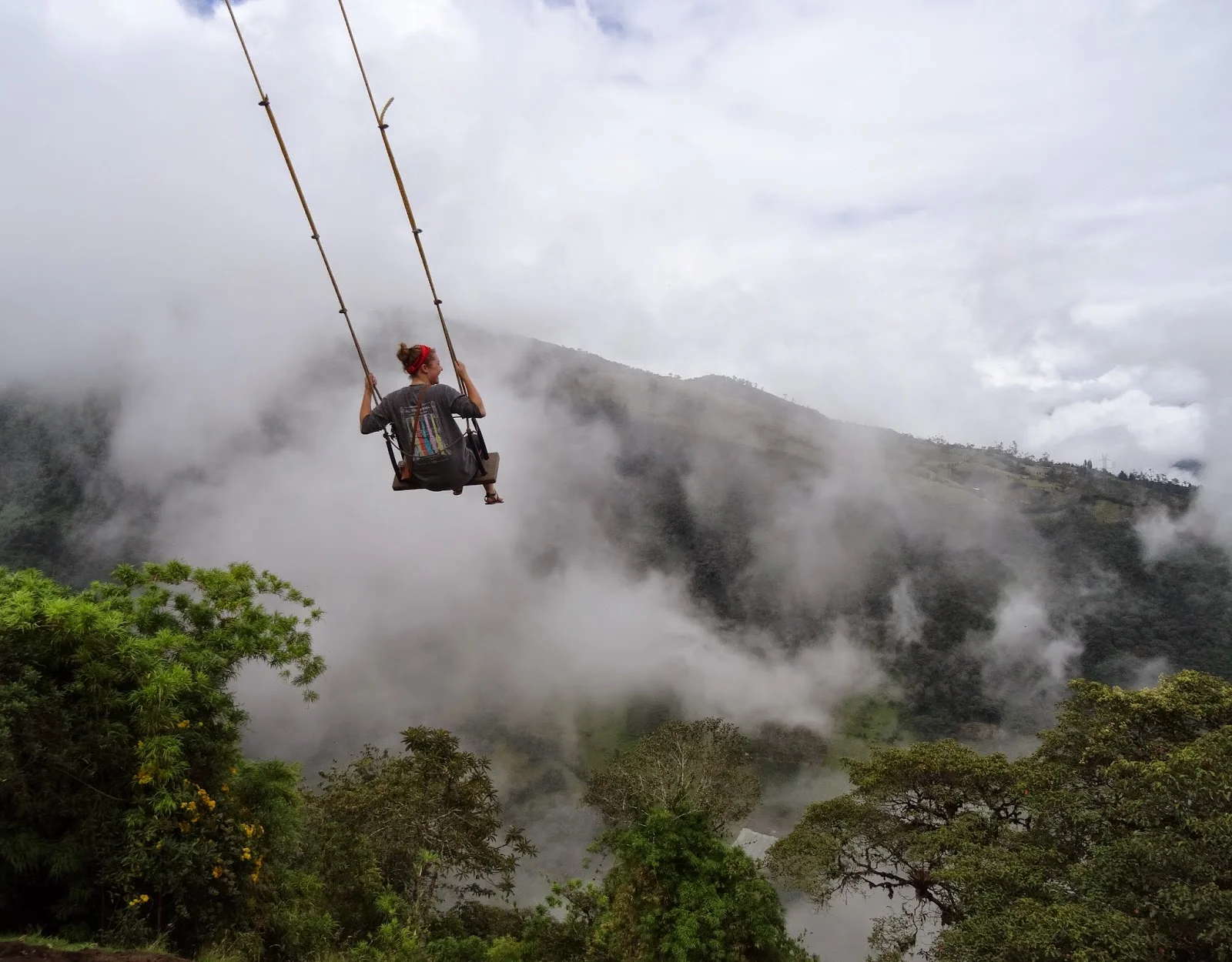 Ecuador Tree Swing.jpg