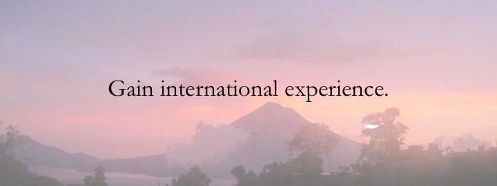 1 - Gain international experience.jpg