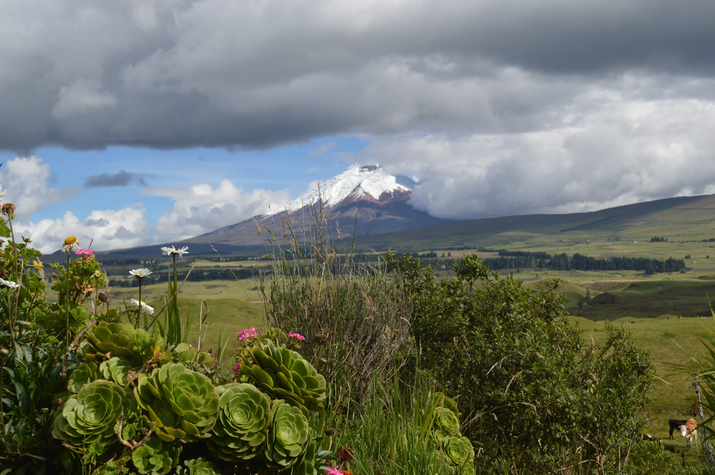 Work Hard, Play Hard