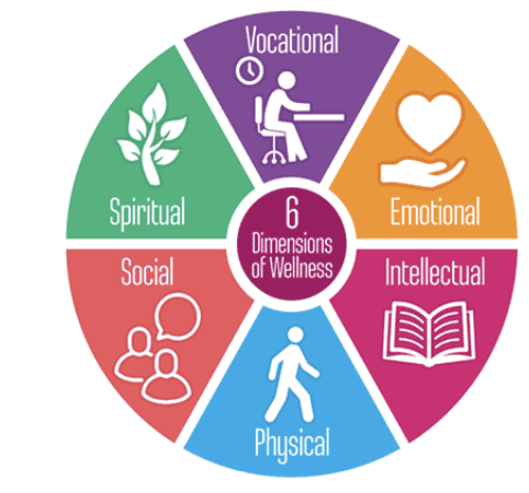 The Dimensions of Wellness — Manna Project International