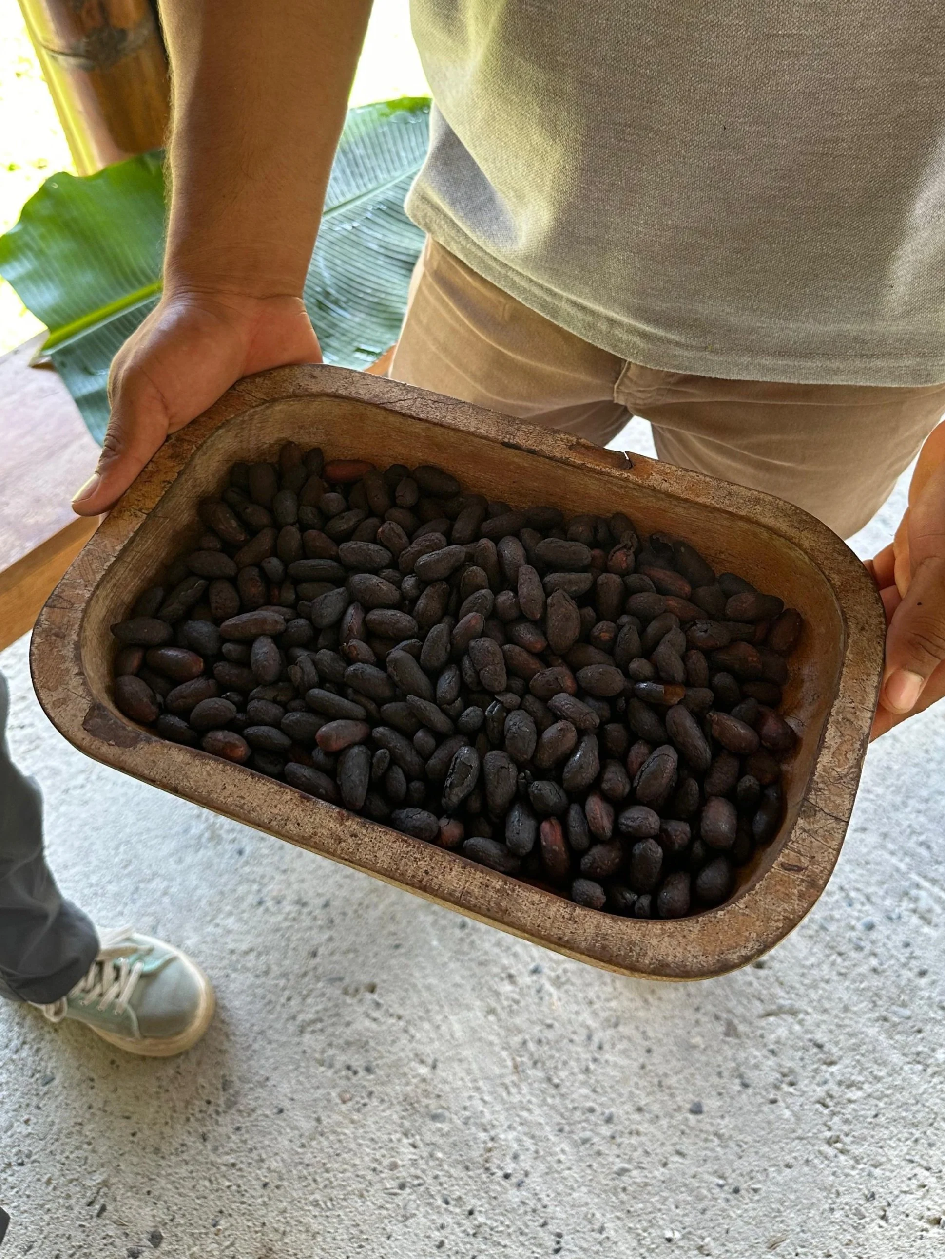 How to Make Chocolate: Amazon Rainforest Edition