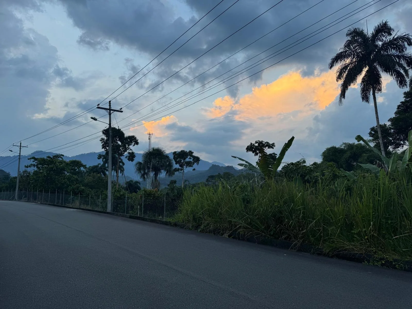 From USA to Shandia: Embracing Slow Living and Community in the Ecuadorian Amazon