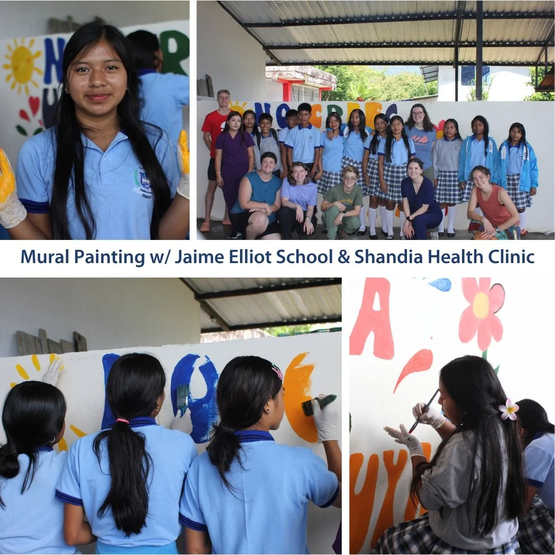 These past few weeks have been filled with murals in Shandia!! In collaboration with the doctors at Shandia's Health clinic, Manna volunteers and Jamie Elliot students painted a new mural at the school. Later, to commemorate our work this season with