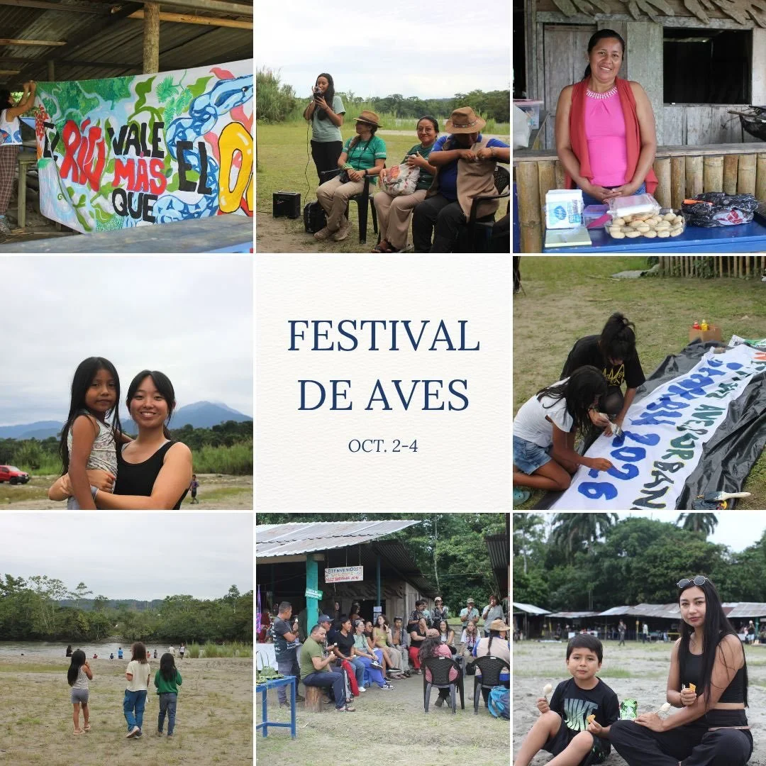 A look inside our recent bird festival at the Shandia beach in collaboration with @pau.tena_ec , @shandialumu , and many more local organizations!

Many students, families, and educators came together to learn about the importance of birds here in th