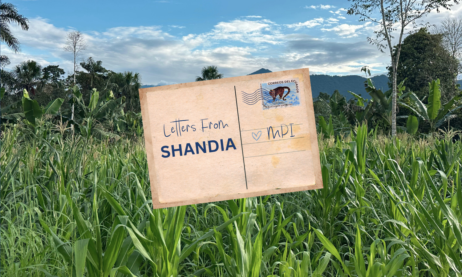 Website Banner NEW.png