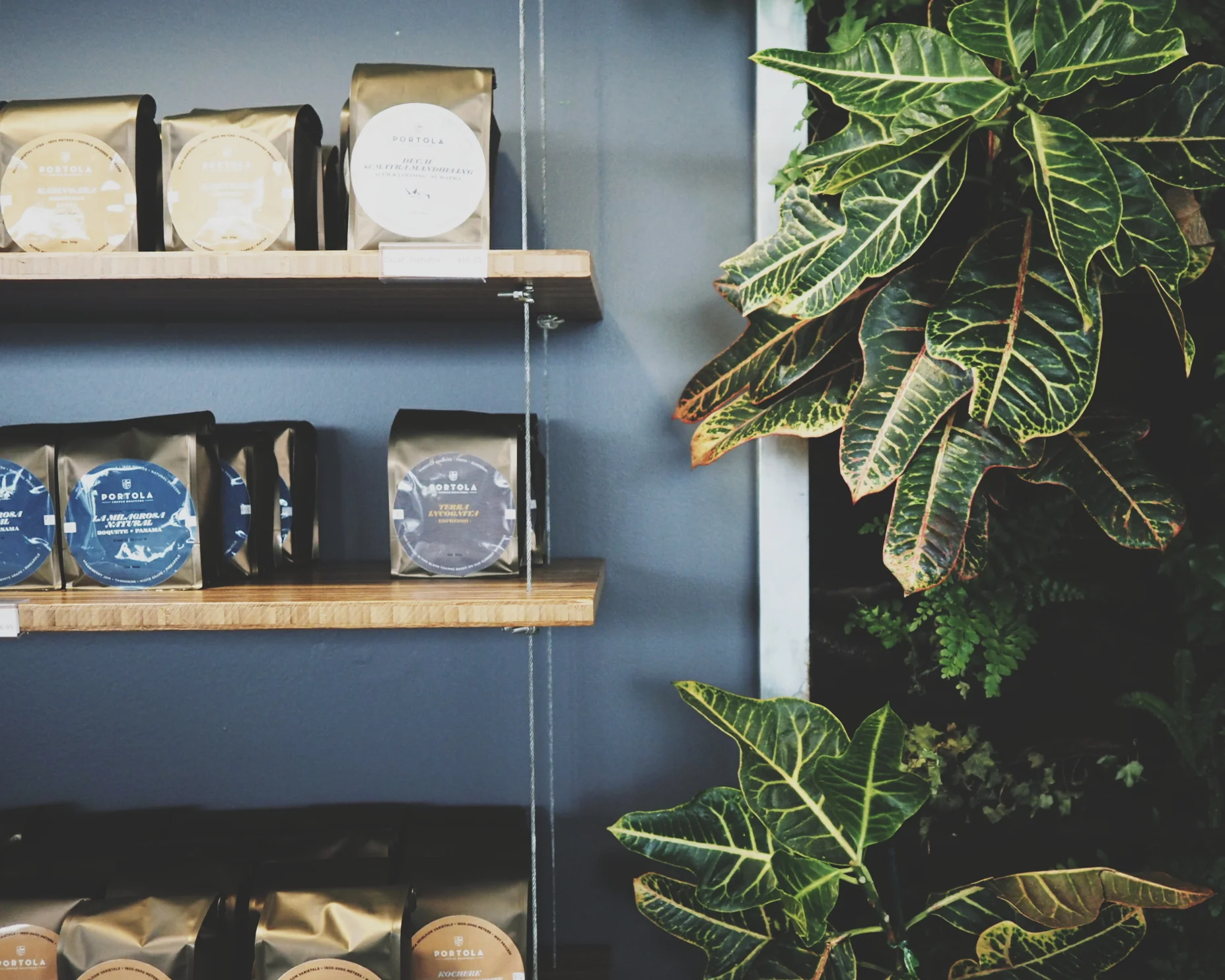 coffee and doughnuts in costa mesa.