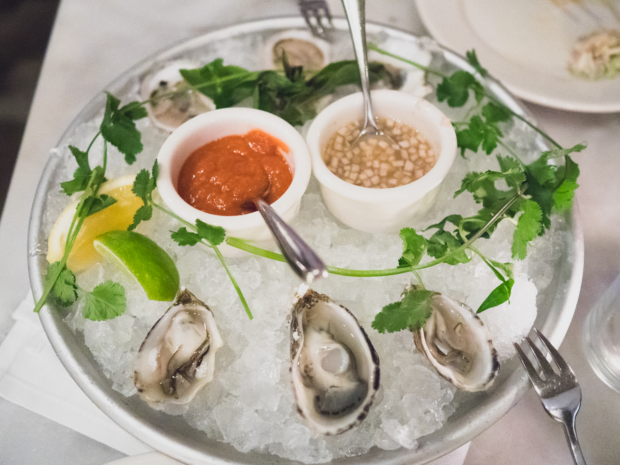 half dozen raw oysters .