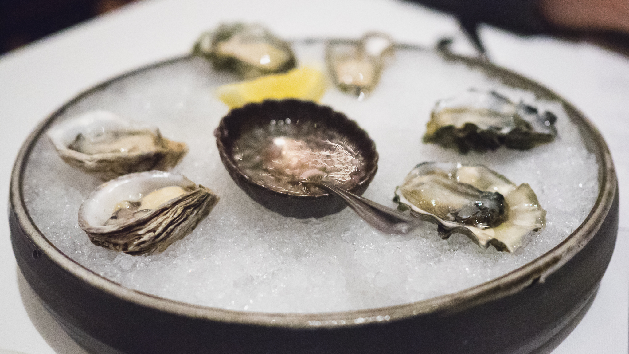 half dozen northwest pacific oysters .