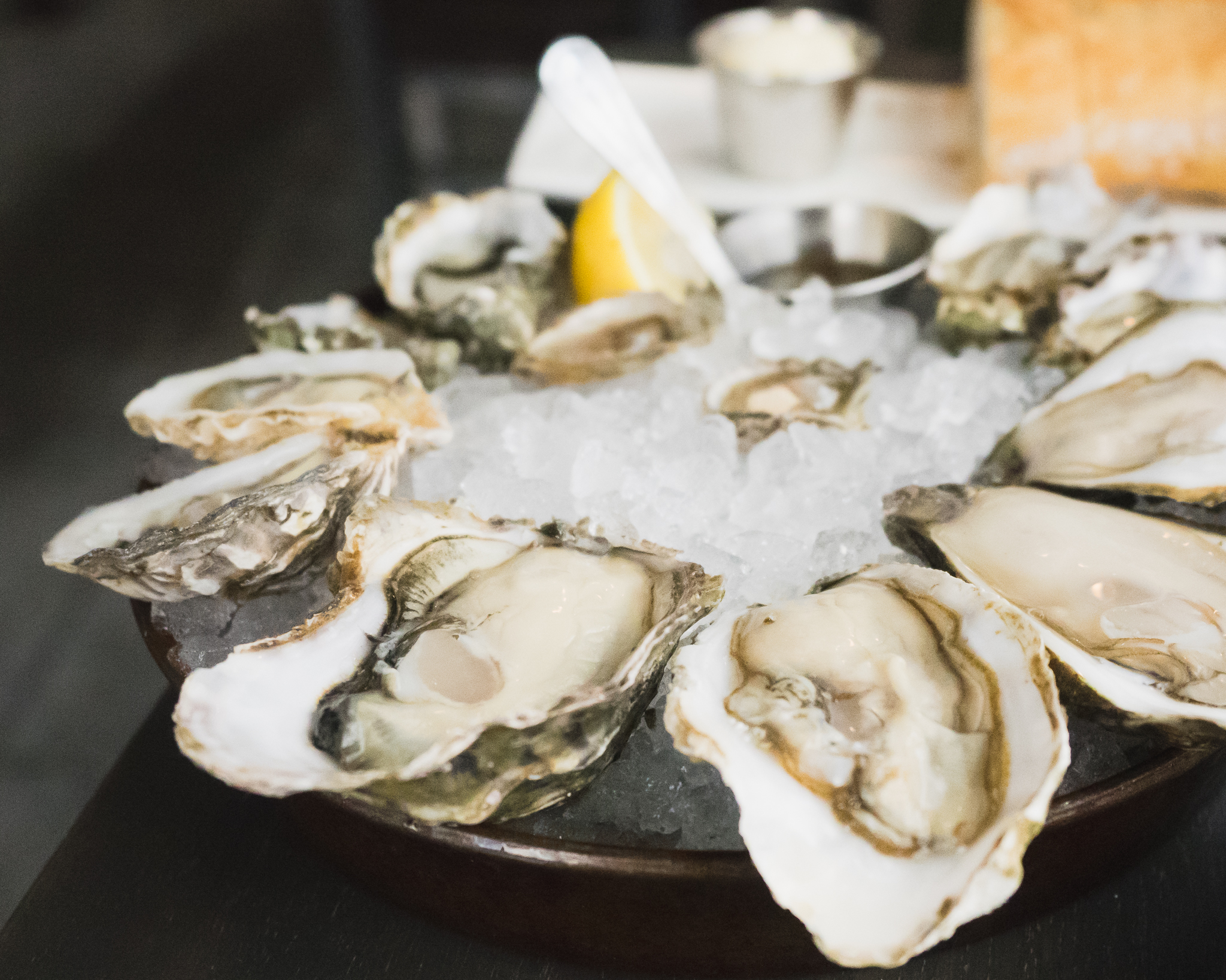 a dozen oysters .