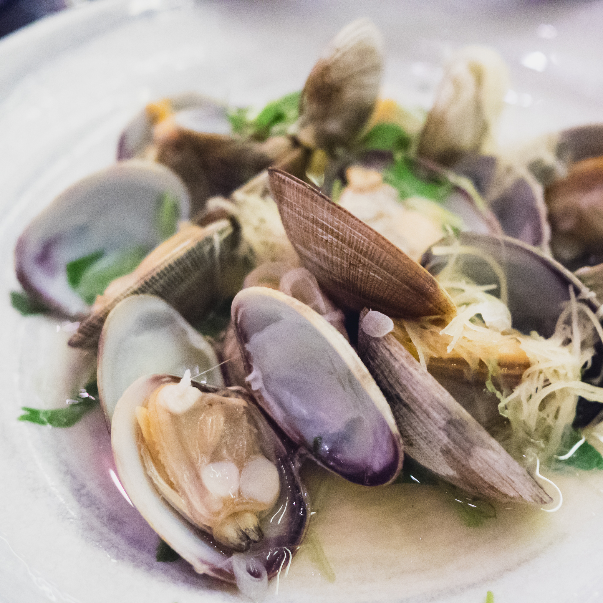 steamed manila clams with ginger.