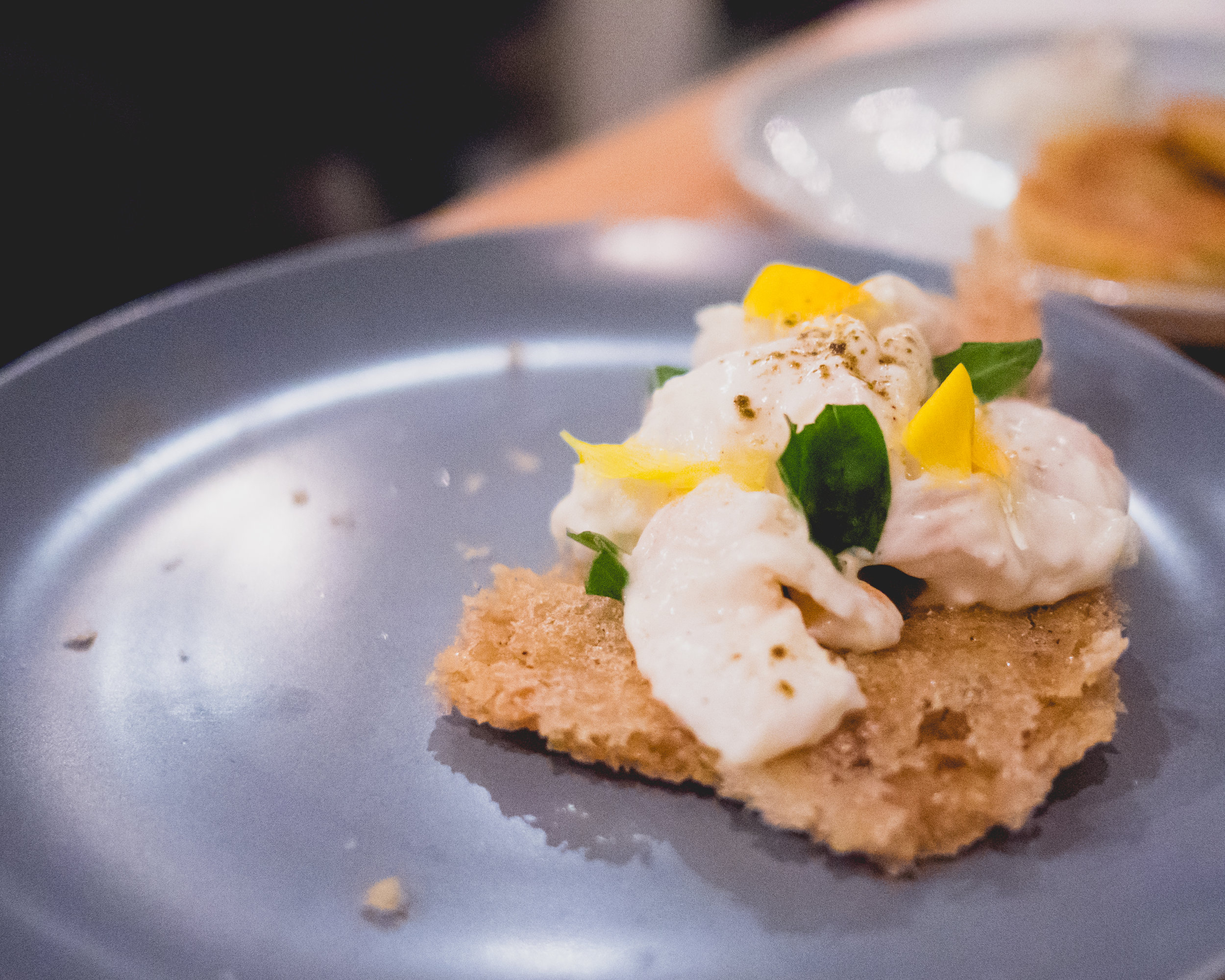 (dimsum) butter poached shrimp , fennel, puffed grain cracker.