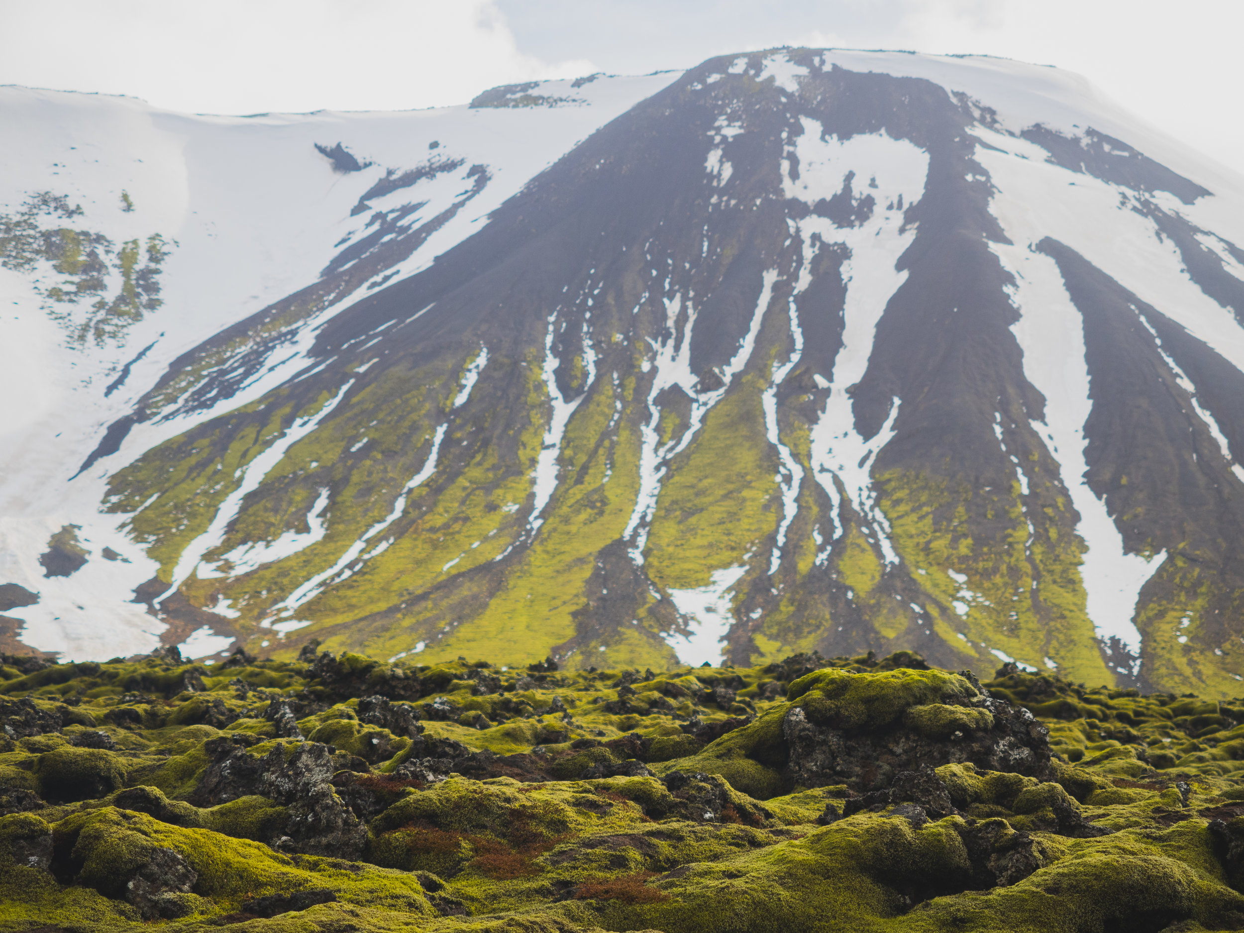 moss-covered lava fields.