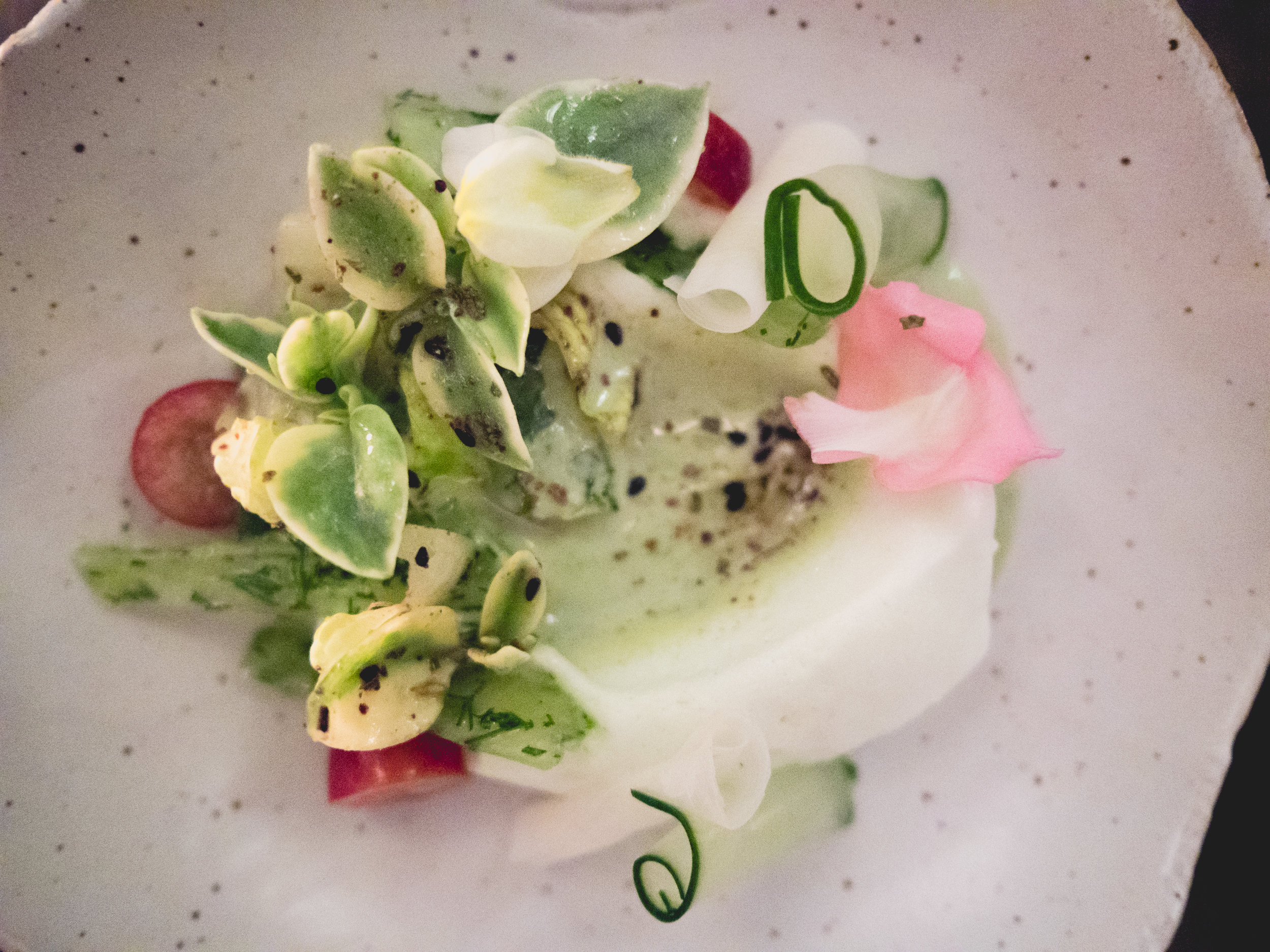hearts of palm , whipped cucumber, fizzy grapes, crystal ice lettuce.